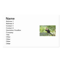 Cute Monkey on a Palm Tree Business Card