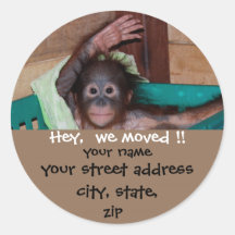 Cute New Address Wildlife Labels Sticker