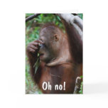 Cute Old Age Birthday for friends Greeting Cards