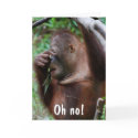 Cute Old Age Birthday for friends cards
