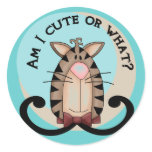 Cute or What Cat stickers
