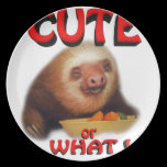 cute or what plates