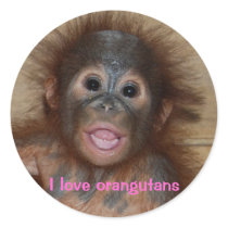 Cute orangutan baby