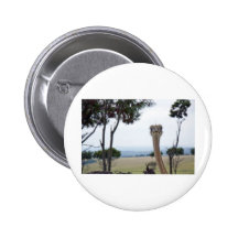 Cute Ostrich Pinback Button
