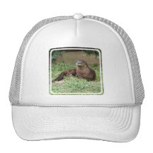Cute Otter Baseball Hat