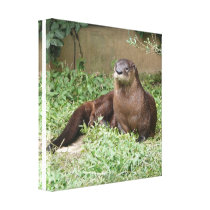 Cute Otter Canvas Print