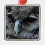Cute Owl Ornaments