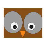 Cute Owl Post Cards