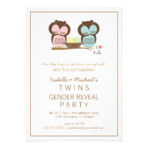 Cute Owls Twin Baby Gender Reveal Party Invitation