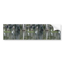Cute Pair Of Louisiana Herons In Water Near Morgan Bumper Sticker