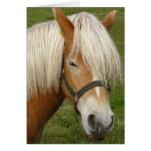 Cute Palomino Pony  Greeting Cards
