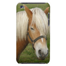 Cute Palomino Pony iTouch Case iPod Touch Covers