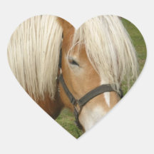 Cute Palomino Pony  Stickers