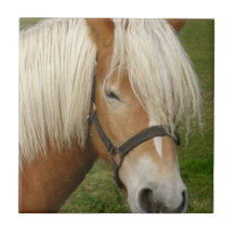 Cute Palomino Pony Tiles