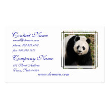 Cute Panda Bear Business Card Template