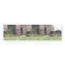Cute Panda Eating Bamboos In His Cage At Zoo. Bumper Sticker