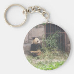 Cute Panda Eating Bamboos In His Cage At Zoo. Keychain