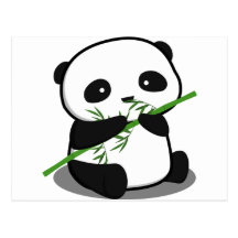 Cute Panda Postcard