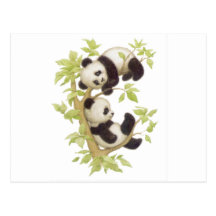 Cute Pandas Post Card