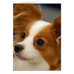 Cute Papillon Dog Greeting Cards