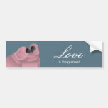 CUTE PARROT COUPLE IN LOVE KISSING BUMPER STICKERS