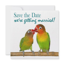 Cute Parrot Love Birds Tropical Save the Date Custom Invitation