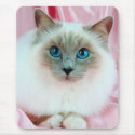 Cute Pedigree Cat mousepads