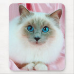 Cute Pedigree Cat mousepads