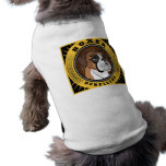 Cute Pet Clothing pet clothing