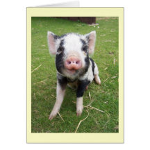 Cute Pig Card