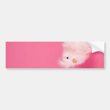 Cute Pink Easter Chick Bumper Stickers