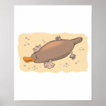 cute platypus in the sand posters