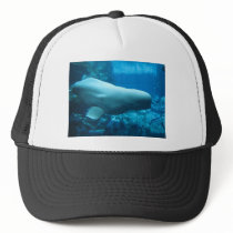 Cute Playful Beluga Whale In Aquarium At Georgia Mesh Hat