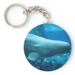 Cute Playful Beluga Whale In Aquarium At Georgia keychains