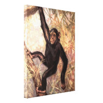 Cute Playful Chimpanzee in Tree
