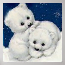 Cute Polar Bear Cubs Poster