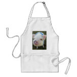 Cute Pot Belly Pig aprons