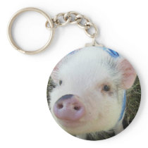 Cute Pot Belly Pig Keychain