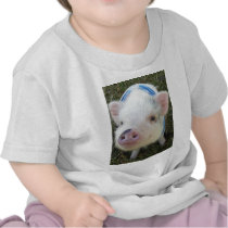 Cute Pot Belly Pig T Shirt