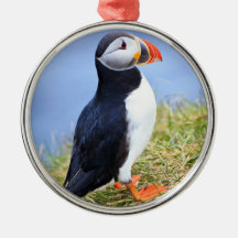 Cute Puffin Ornaments