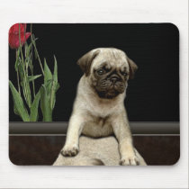 Cute Pug Puppy Dog-lovers Gift Series mousepads