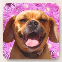 Cute Puggle Coasters