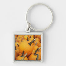 Cute Pumpkins In The Pumpkin Patch Keychains