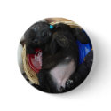 Cute puppy button