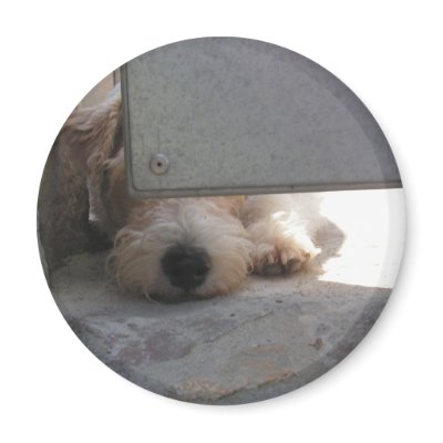 Cute Puppy Fridge Magnet by darabant_denisa