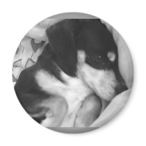 Cute puppy fridge magnets