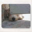 Cute puppy mousepads