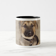 Cute Puppy Mug