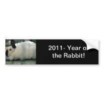 Cute Rabbit bumper stickers