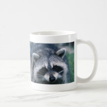 Cute Racoon Close-Up Mug